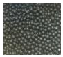 Plus Cerium Zirconia Oxide Beads Grinding Media